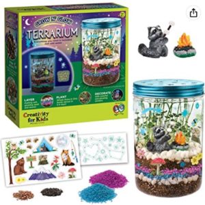 Terrarium kit with supplies