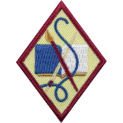 Girl Scout cadettes art badge