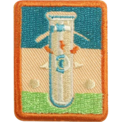 Girl Scout seniors space and science badge
