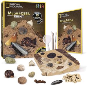 Mega fossil dig kit box with play set