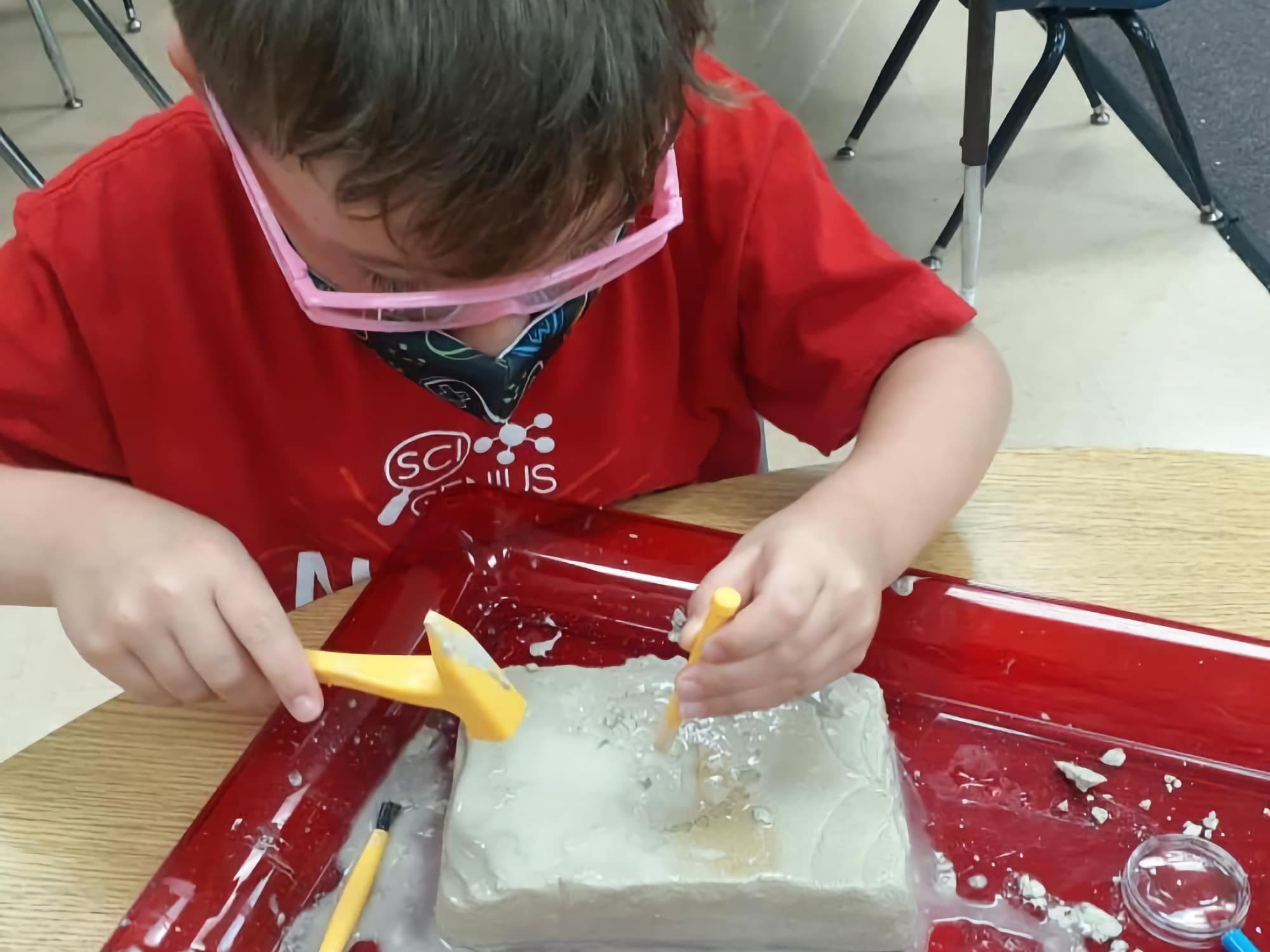 Camp Feature Dino Discovery